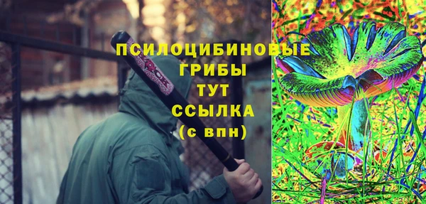 крисы Костерёво