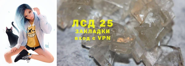 ГАЛЛЮЦИНОГЕННЫЕ ГРИБЫ Коряжма