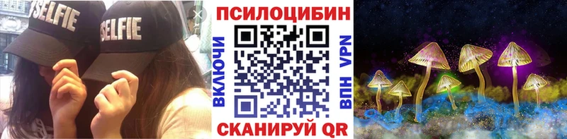 закладки  Щёлкино  Псилоцибиновые грибы Magic Shrooms 